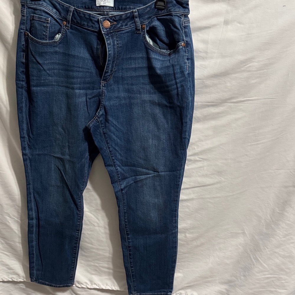 LOFT Dark Blue Curvy Skinny Jeans
